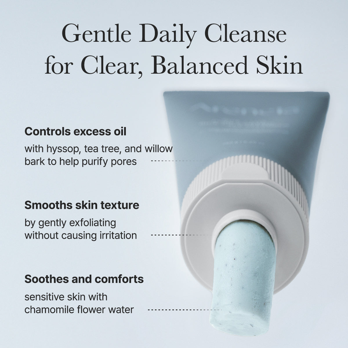 Arencia Hyssop Sebum Control Rice Cake Cleanser 150g