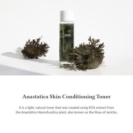 Dr.Althea Anastatica Skin Conditioning Hydrating Korean Toner 250ml
